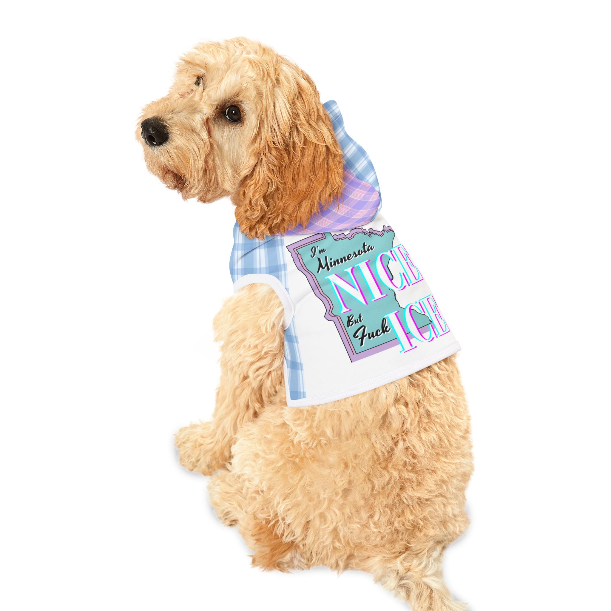 Minnesota Nice F Ice Pet Hoodie