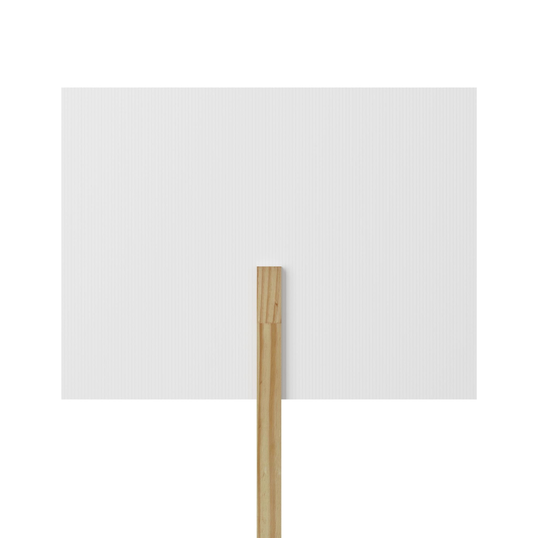 End Facism Protest Sign